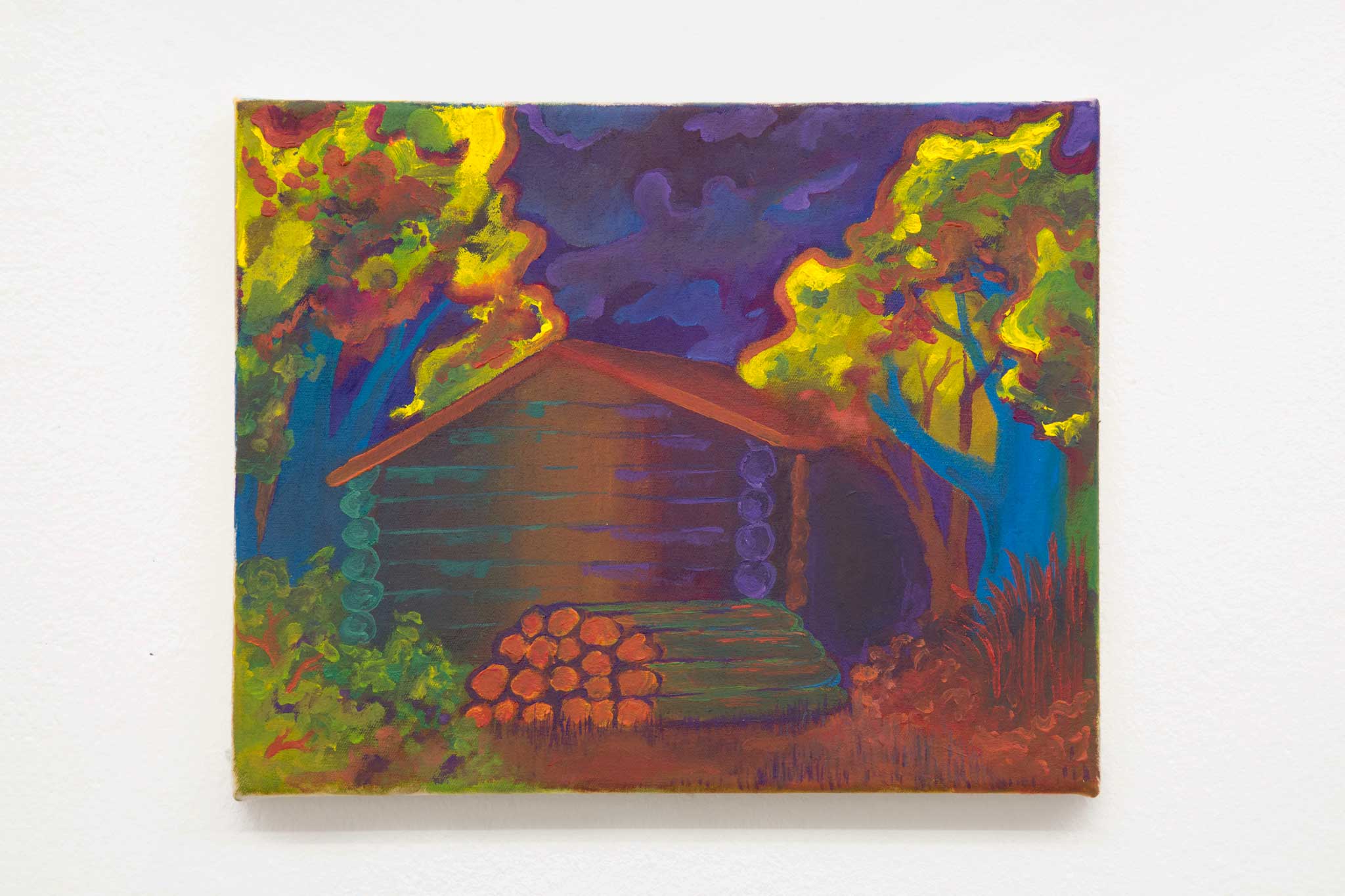 Ivan Mitrovic — Ted Kaczynski's House